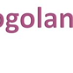 956-yogoland