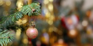 Kokią eglę rinktis – dirbtinę ar tikrą?