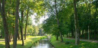 Nuotekų, kurie pateko į Juodąją Ančią, tyrimų rezultatai