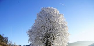 Šalčiausia Lenkijos dalis vis dar be sniego