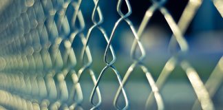 Iki kada sienos bus uždarytos? Iki kada sienos bus uždarytos?