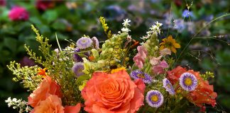 Šiemet nebus Puńsko dienų ir renginių per Žolines