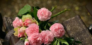 Tarptautinė moters diena