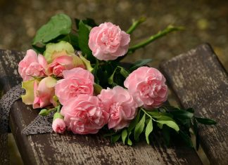 Tarptautinė moters diena