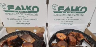 Falko – žuvų specialistas