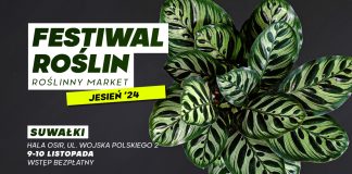 Suvalkų augalų festivalis – puikus augalų turgus už puikias kainas