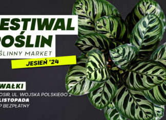 Suvalkų augalų festivalis – puikus augalų turgus už puikias kainas