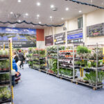 festiwal-roslin-suwalki-28