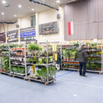 festiwal-roslin-suwalki-29