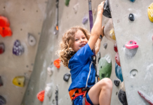 Sekmadienį, gruodžio 7 d., OSiR laipiojimo sienelė uždaryta