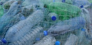 Užstato sistema Lenkijoje: principai, pareigos ir padėtis Suvalkuose Užstato sistema Lenkijoje: principai, pareigos ir padėtis Suvalkuose