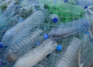 Užstato sistema Lenkijoje: principai, pareigos ir padėtis Suvalkuose Užstato sistema Lenkijoje: principai, pareigos ir padėtis Suvalkuose